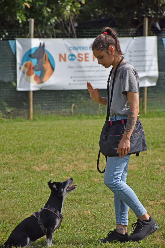 DSC_0027 copia